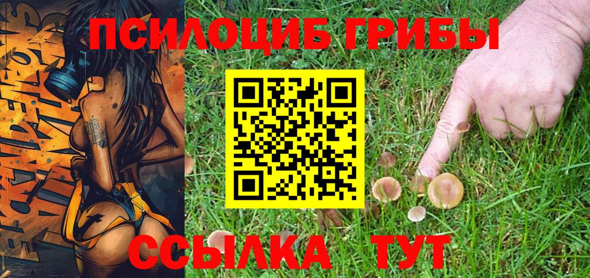 Псилоцибиновые грибы Cubensis Гурьевск
